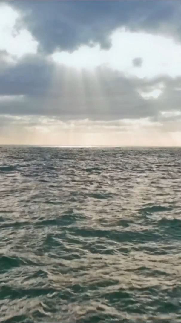 Sunday on BBC One at 6pm, we celebrate the heroes giving our reefs a lifeline, like the epic team at ARC marine, getting on with the solutions themselves by innovating and collaborating. This is what true leadership looks like 👊🌎💙 #OurChangingPlanet