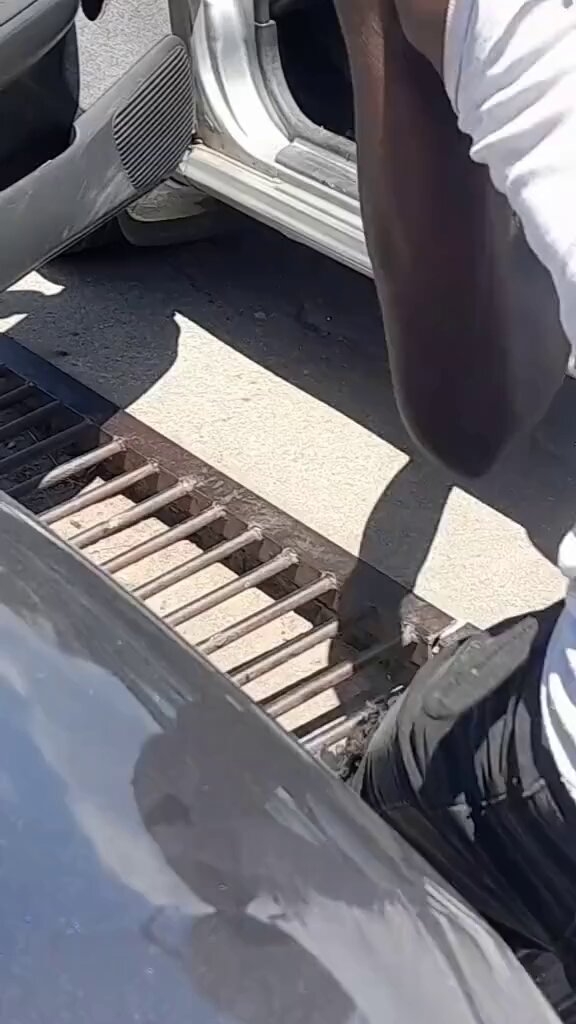 Imagine going to your car and an Anaconda tryna pull off in it 😳