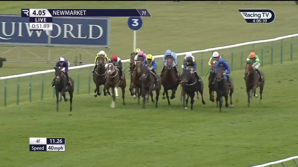 👀 Frankel's half-brother wins at Newmarket Racecourse! Kikkuli (Kingman) gets off the mark at the second time of asking and shows a good attitude to land the Alex Scott Maiden Stakes at HQ under Ryan Moore... Harry Charlton | Juddmonte