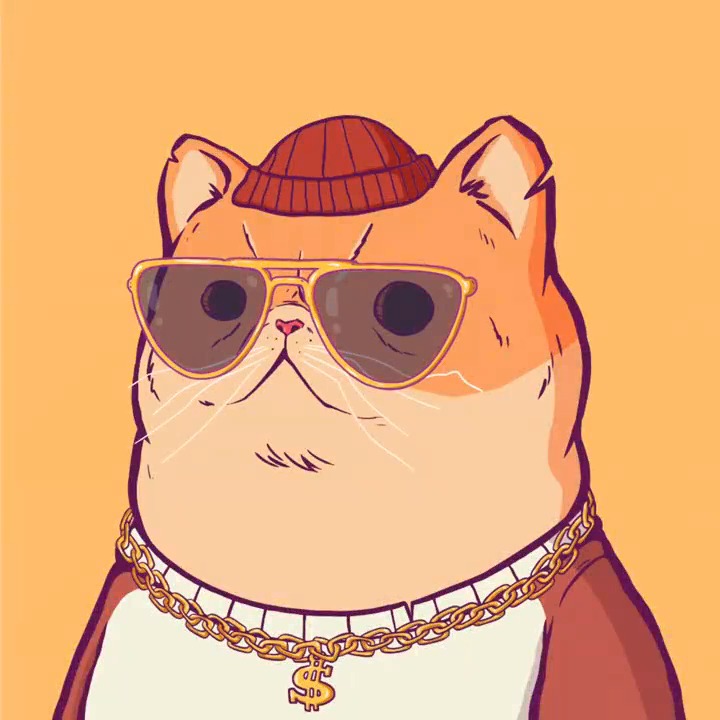 The Gang is here 😼 9,999 Moggies occupied Bitcoin