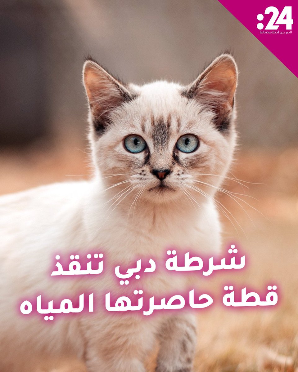 في فيديو حظي بإعجاب واسع.. شرطة #دبي تنقذ قطة حاصرتها مياه الأمطار وظلت ممسكة بمقبض باب السيارة لحين انتشالها #فيديو24 لمشاهدة المزيد من الفيديوهات: