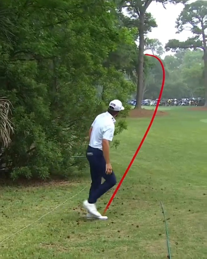 A work of art 🎨 Cameron Young curves approach shot around trees for a ridiculous escape RBC Heritage last season 🤯 #TOURVault