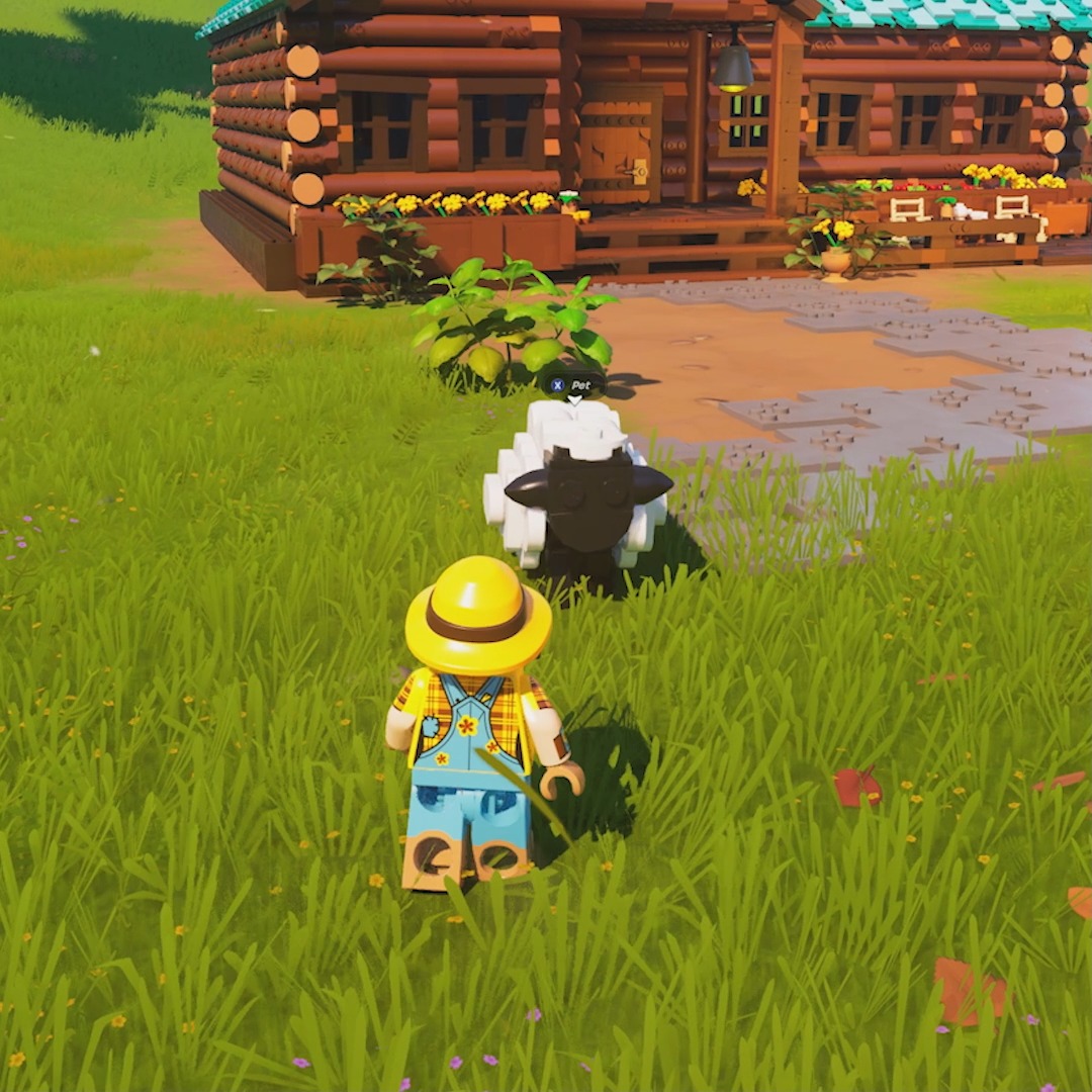 Are you thinking what I'm thinking? 🐑