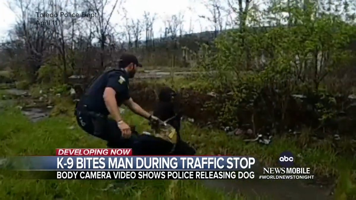 Brandon Upchurch, a 38-year-old Black man, is demanding justice after Toledo Police stopped his vehicle and released a police dog that bit him seven times. Police later admitted they stopped the wrong car but still charged Upchurch with resisting arrest.