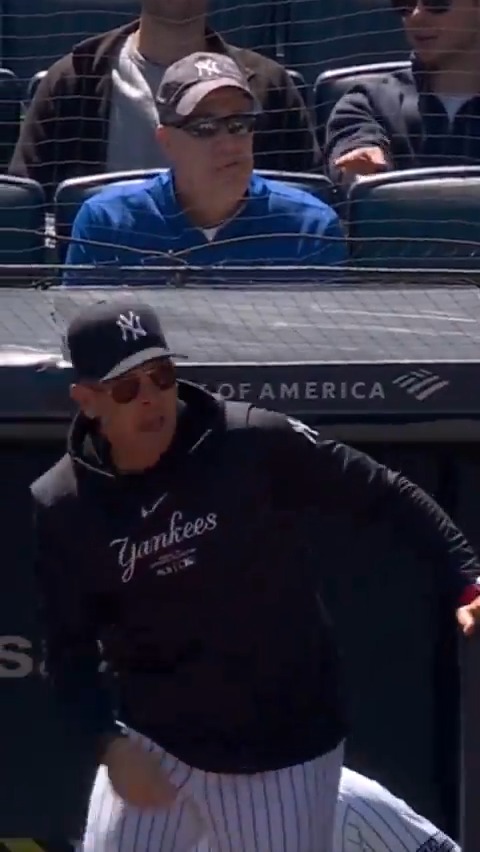 Take another look at Aaron Boone's ejection...