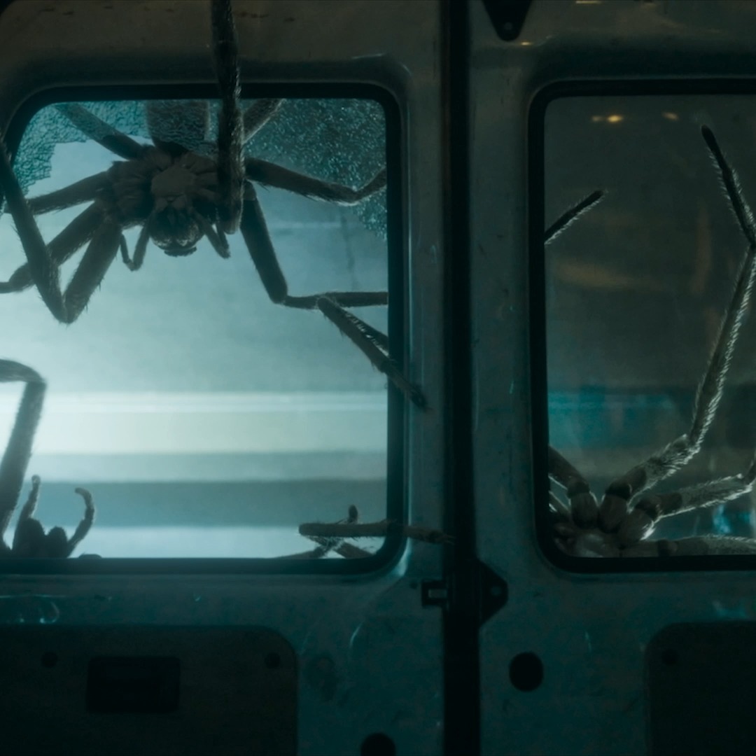 In the crumbling confines of an apartment complex, residents face an army of deadly, multiplying spiders. INFESTED hits streaming this Friday.