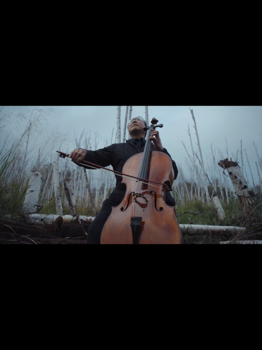 Bach's Prélude from Suite No. 2, amidst the melting permafrost on Lower Tanana Dene lands in Fairbanks, Alaska, where I was brought by Princess Daazhraii Johnson (Princess Daazhraii). Full video at ▶️