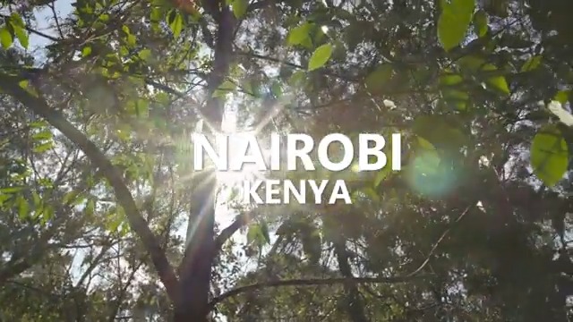 In 2010, Kenya mandated in its constitution the conservation of at least 10% of its forest cover, recognizing the role forests play in sustaining life and supporting economies. A few years ago, I learned this firsthand when I visited the magnificent Karura Forest. #EarthDay