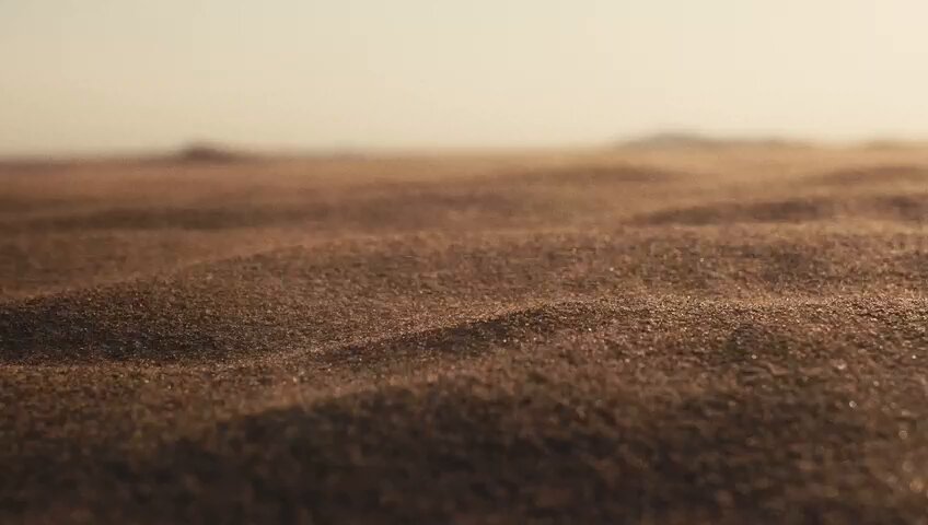 مُستلهمين من علاقاتنا الأخوية، تاريخها بعمق صحرائنا، صلبةً كشموخ جبالنا، متحدين ومتكاملين بطموحات تعبر الحدود وتختزل المسافات، نفخر بإطلاق "حفيت للقطارات" الهوية الجديدة لشبكة السكك الحديدية المشتركة بين الشقيقتين #سلطنة_عُمان و #دولة_الإمارات_العربية_المتحدة #مجموعة_أسياد #حفيت_للقطارات Hafeet Rail OmanRail قطارات عمان Etihad Rail