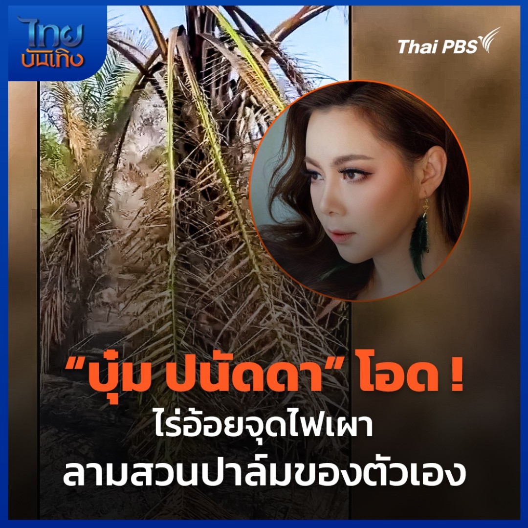 "บุ๋ม ปนัดดา" ออกมาโพสต์ถึงความเสียหายจากการเผาไร่อ้อยที่อยู่ติดกันกับสวนปาล์มของตัวเอง เผยกว่าจะปลูก กว่าจะพัฒนาที่ดิน กว่าจะโต มาสูญเสียเพราะความมักง่ายของคนแบบนี้ พูดไม่ออกเลย 🎬 ชม #ไทยบันเทิง ที่ #ThaiPBS