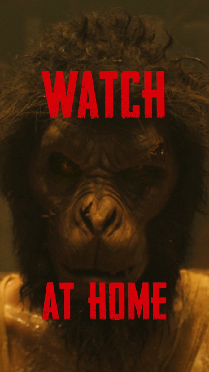 Watch #MonkeyManMovie at home now and prepare yourself for a 'hard-hitting, bone-breaking, badass" movie (Multiplex Show) from Producer Jordan Peele and Director Dev Patel.