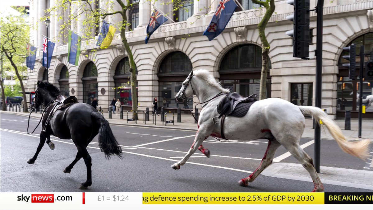 BREAKING: 'Number of horses' on the loose in central London - as one appears to be covered in blood. 📺 Sky 501, Virgin 602, Freeview 233 and YouTube