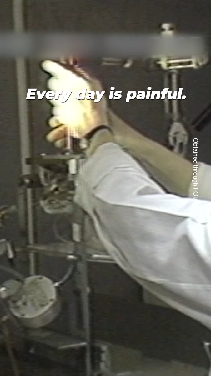 You would never be okay with your cat being imprisoned and experimented on in a laboratory, so help stop it from happening to others. #WW4AIL