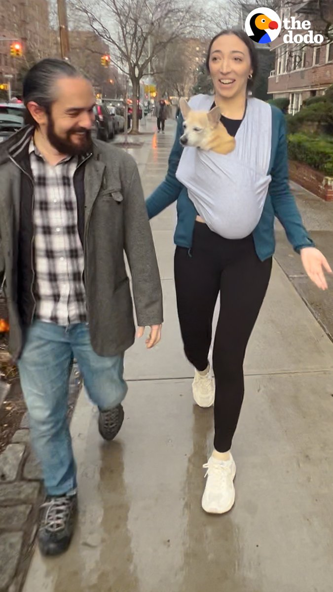 Senior dog prefers his dad's girlfriend over him ❤️ So we got them a gift to turn her into the ultimate dog mom!