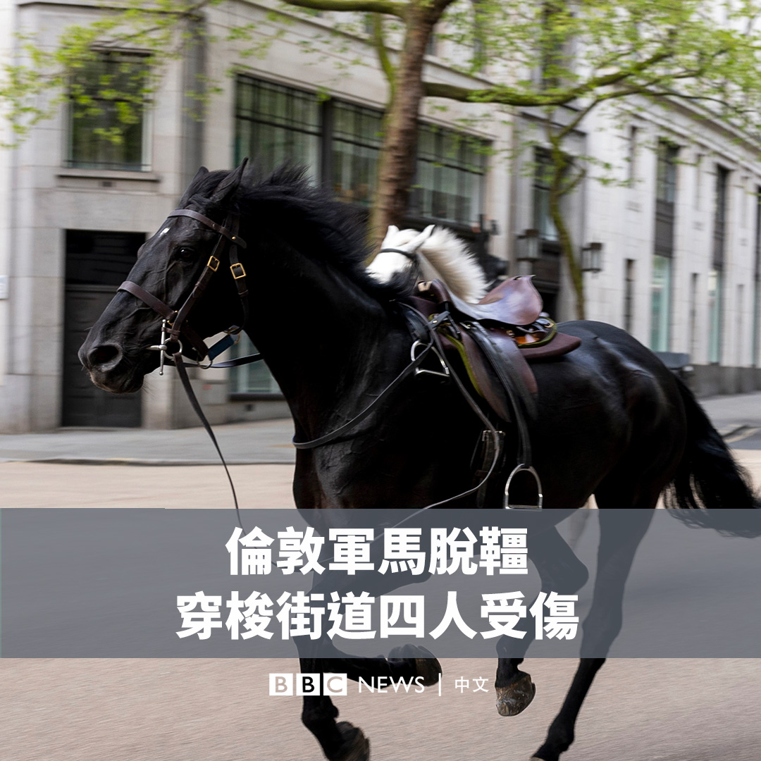五匹军马昨日（24日）在伦敦街上飞驰，两小时后被找回。其中一匹马浑身是血，并导致四人受伤。