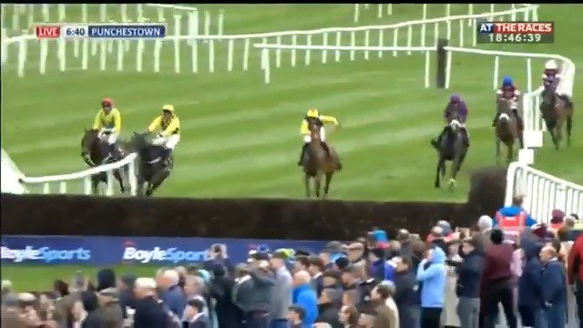 🤯 Paul Townend on Al Boum Photo at the Punchestown Festival in 2019. One of the craziest races you'll ever watch.
