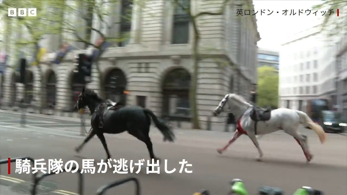 BBCニュース- 英騎兵隊の馬が暴走、ロンドン中心部が騒然 4人けが