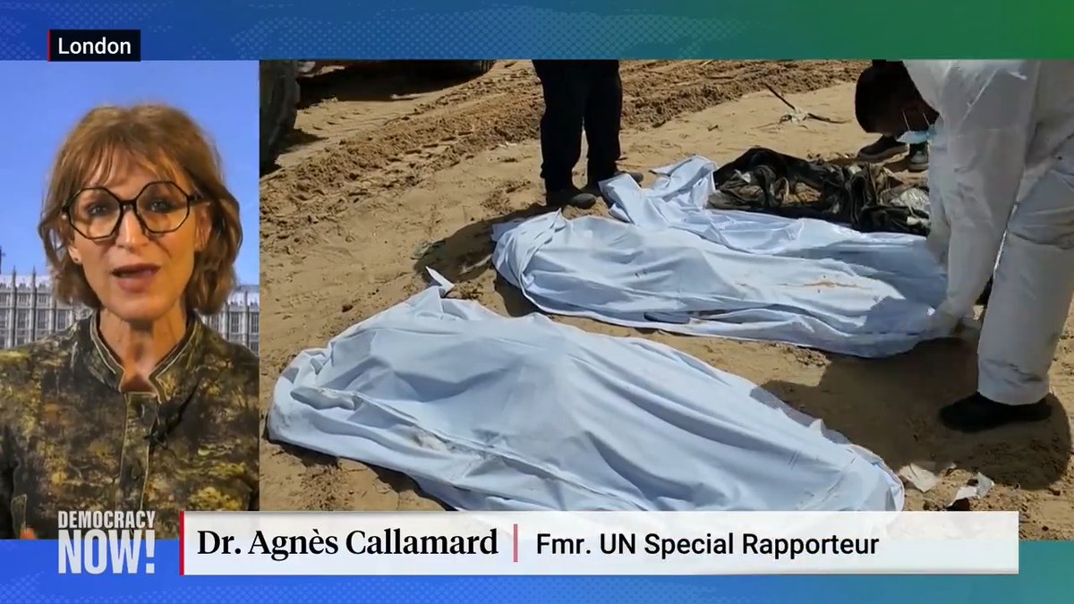Amnesty International head Agnes Callamard says flagrant war crimes committed by Israel in Gaza are part of a pattern of powerful countries running roughshod over international law. "The only conclusion we can reach is that the international system is collapsing," she says.