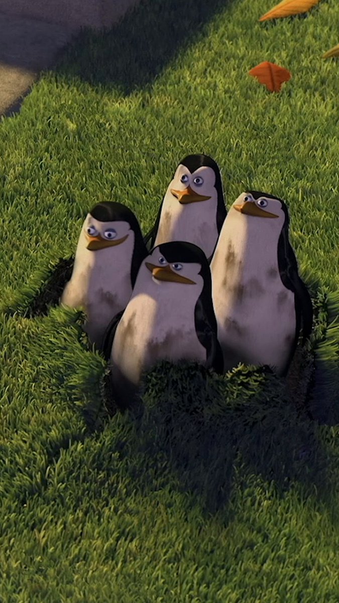 Kowalski, status report! Sir, it seems to be #WorldPenguinDay 🐧 #PenguinsOfMadagascar