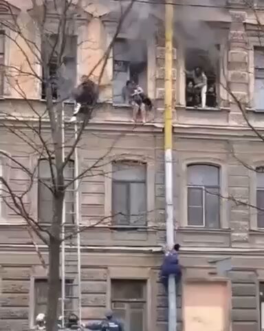 Дворник-герой забрался по трубе на дом и спас девушек из пожара. Сильный пожар произошёл накануне утром в д. 39 на Подольской улице. Пока спасатели спускали людей по лестнице, дворник Олимжон Ибрагимов поспешил на помощь и как человек-паук забрался на третий этаж.