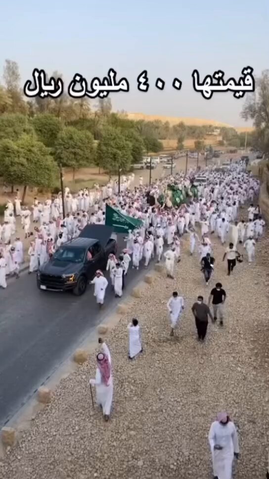 ماشالله تبارك الله 10 من الابل قيمتها تعادل ميزانيه دوله صغيره 400 مليون ريال ويجي المحيط البائس يقولك يا خيمه وبعير البعير او الناقه لو هو عندكم كان قيمته بنت 3 احياء في ديرتكِ