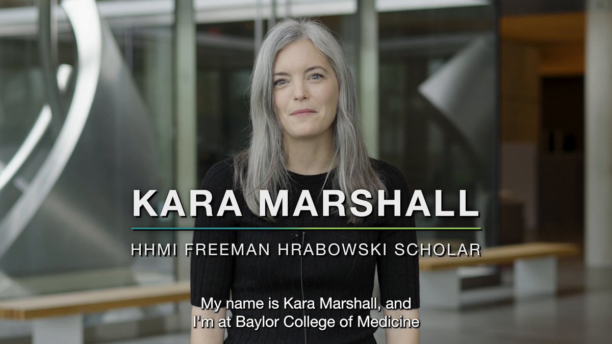 Are you an early career faculty doing 1st rate, cutting-edge science? Do you: ✅ Dream big ✅ Think about transformative science ✅ Want to train next gen scientists If so, we invite you to apply to the Freeman Hrabowski Scholars Program. Deadline 5/15: