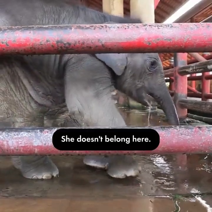 This video just breaks our hearts. 💔