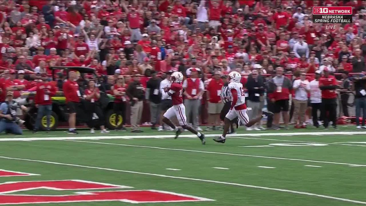 HOUSE CALL Dylan Raiola ➡️ jaylen ferrari lloyd and yes, bro was triple jumping in the end zone 🤣 #GBR | Big Ten Network