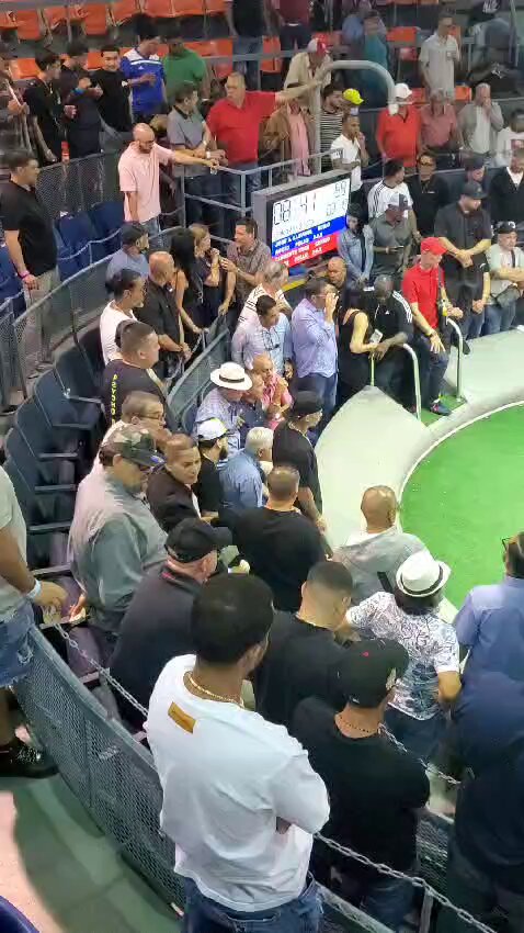 Mientras tanto en Isla Verde…. | Pipo Pierluisi fue al Coliseo Gallistico de Isla Verde a ver y a jugar gallos esta noche. Como parte de su celebración de 65 años Analice Discuta Y Fundamente