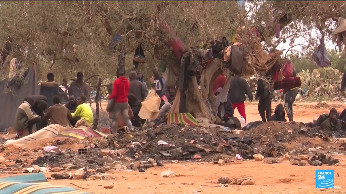 Des milliers de #migrants subsahariens survivent dans les oliveraies de la périphérie de #Sfax, en #Tunisie 🇹🇳, Les tensions sont croissantes entre ces candidats à l'exil vers l'#Europe et les autorités. ➡️ Reportage Blaise lilia et hamdi tlili