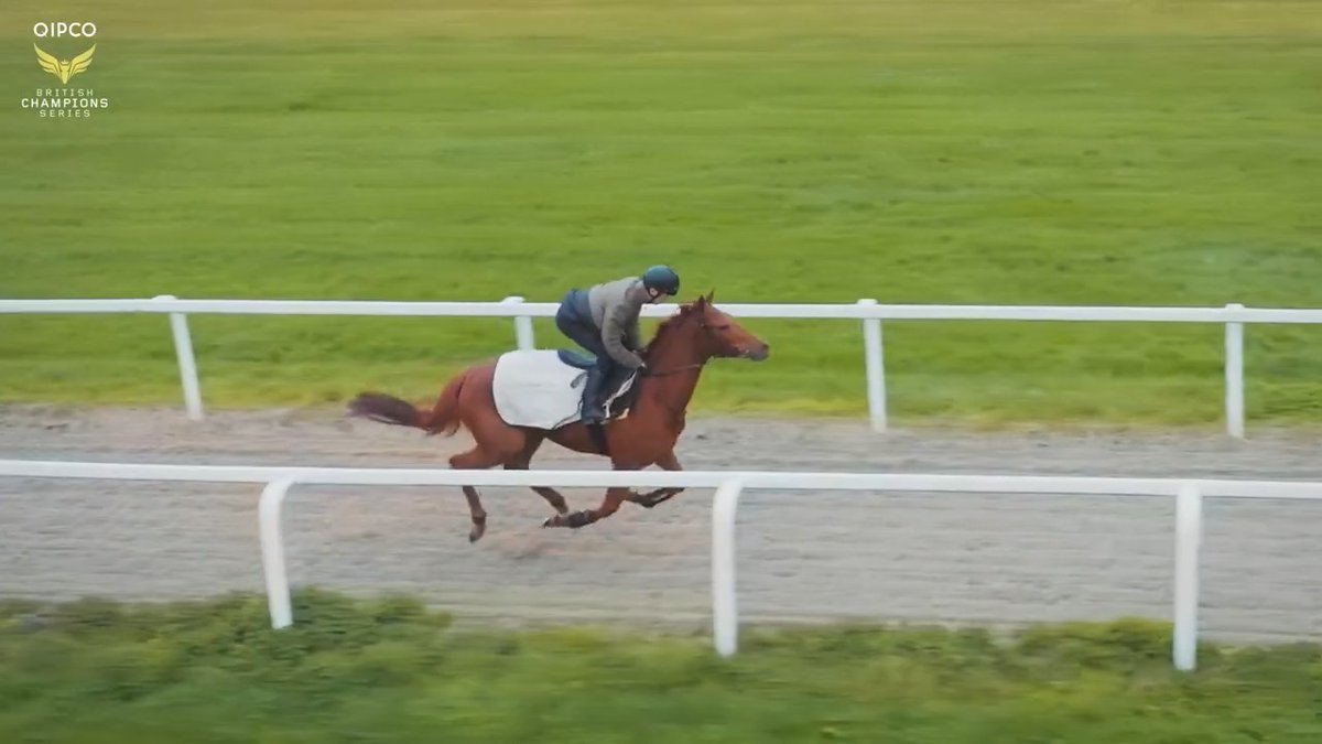 Ode to a Champion ❤️ Hours of dedication, all coming together for one moment on the track. QIPCO British Champions Series returns this Saturday 🤩 Oisín Murphy
