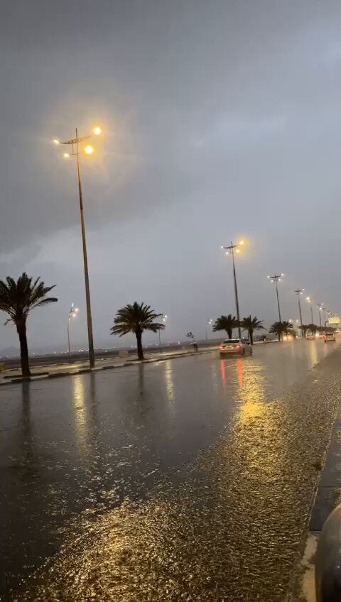 #فيديو 🎥 أمطار محافظة #رنية ⛈️ . تصوير: حسان الدوسري