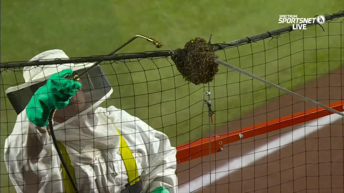 The best thing Scott Van Pelt saw today? Who else? The beekeeper 🐝