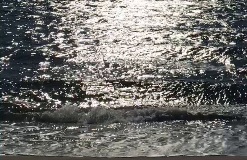 como dijo gloria fuertes… «a no ser en tus manos, donde mejor me encuentro es en el mar»