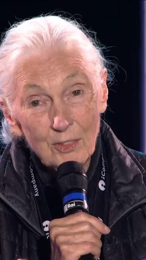 “Se non mollerai, troverai il modo di fare quello che desideri”. Il messaggio ai giovani dell'etologa e antropologa #JaneGoodall, la donna che ha studiato e salvato gli scimpanzé e che oggi è l'icona della lotta per salvare la Terra. #PrimoMaggio #1M2024 Primo Maggio Roma