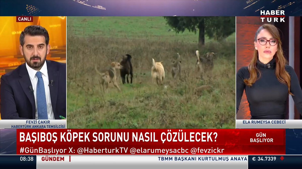 🔴Adana'da sahipsiz köpeklerin saldırısına uğrayan 72 yaşındaki kadın hayatını kaybetti. 📌Başıboş köpek sorunu nasıl çözülecek? Habertürk Ankara Temsilcisi Fevzi Çakır, #GünBaşlıyor'da Ela Rumeysa Cebeci 🇹🇷'ye değerlendirdi.