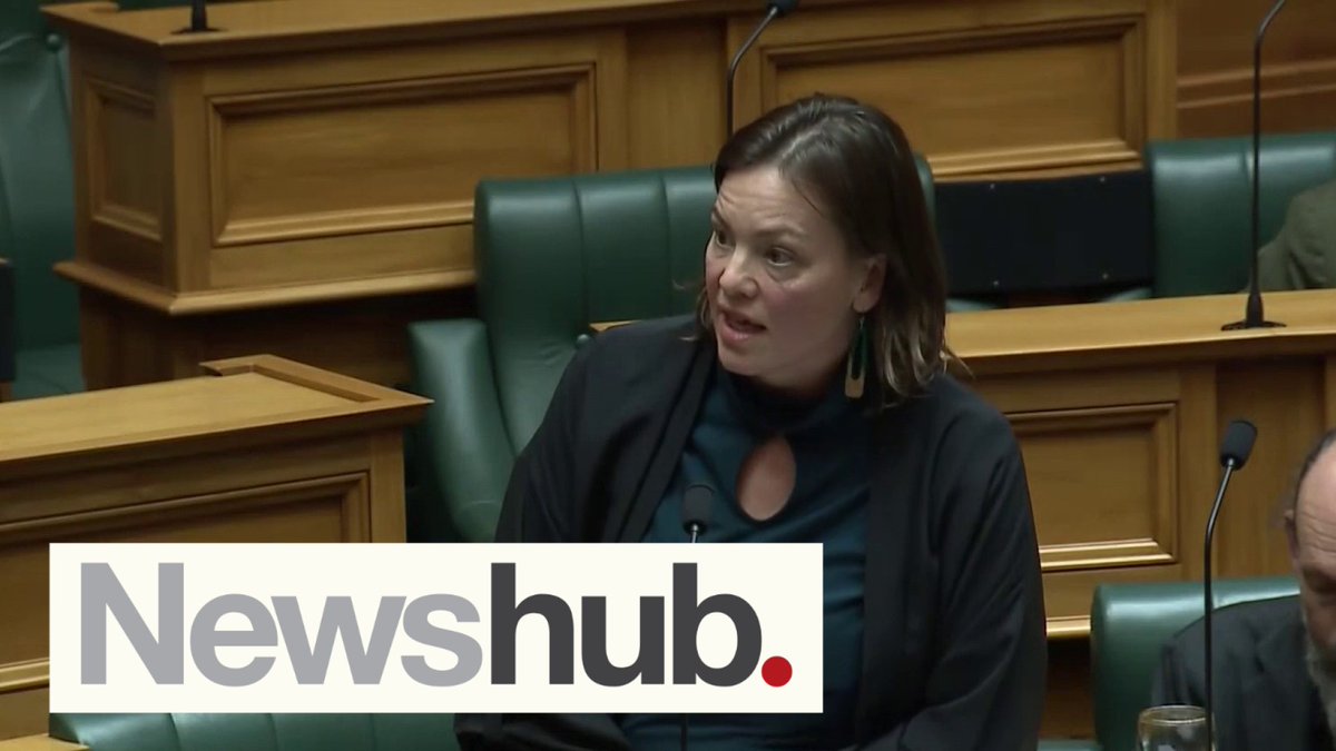 #EXCLUSIVE: Newshub reveals new allegation of intimidation against Green MP - this time from a member of the public #Newshub
