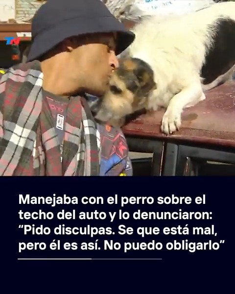 🐕🚗 Manejó con su perro subido al techo del auto y lo denunciaron: el dueño admitió el error, pidió disculpas y dijo que no lo iba a volver a hacer, pero remarcó que el perro "es duro" y que está acostumbrado a hacer eso: "Él es así, no puedo obligarlo".