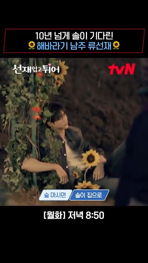 "니가 연어냐? 여기 알 낳으러 와?" 술 취해도 첫사랑 솔이네 찾아가는 순애보 회귀 본능🌻 [월화] 저녁 8:50 | tvN #선재업고튀어 #LovelyRunner