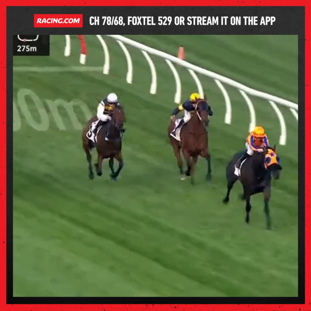 Midnight Blue goes all the way & wins his first race for Te Akau Racing 🍊
