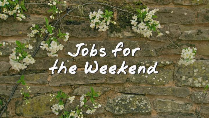 With a long weekend stretching out before us, there's no time like the present to get out in the garden. Let's hope the weather is kind to us 😎 #GardenersWorld #Gardening #JobsForTheWeekend #Spring