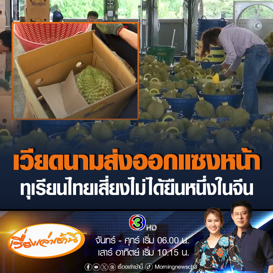 #เรื่องเล่าเช้านี้ ทุเรียนไทยสั่นคลอน! หลังเริ่มไตรมาสแรกปีนี้ พบทุเรียนเวียดนามเข้าตีตลาดจีน ชิงส่วนแบ่งทิ้งห่างทุเรียนไทยกว่าเท่าตัว ส่วนหนึ่งมาจากอากาศร้อน-แล้ง และผลผลิตออกช้า ทำเสี่ยงอาจไม่ได้ยืนหนึ่งในจีนอีกต่อไป #ข่าวช่อง3 #ข่าวสังคม #ทุเรียนไทย