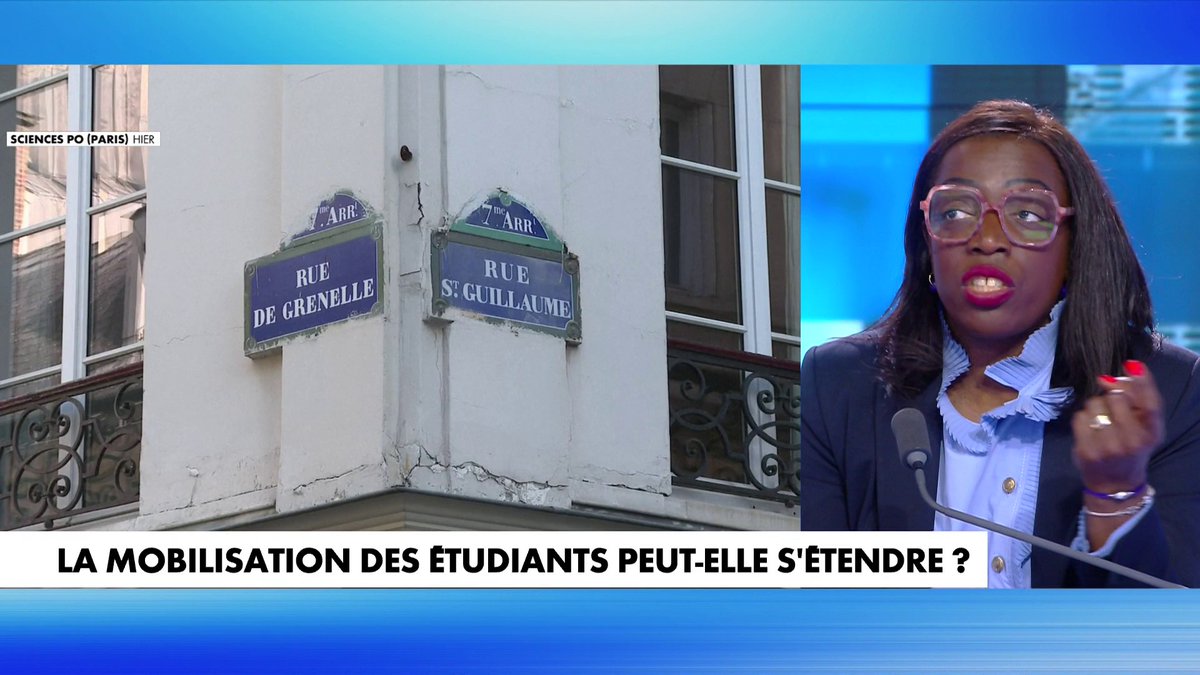🇫🇷🇵🇸 "Les lycéens pro-palestiniens ne savent même pas pourquoi ils manifestent. Ils y vont parce qu'il y a cet effet de mode. Si vous leur demandez de placer Gaza sur une carte, ils ne seront même pas capables", a lancé Madi Seydi.