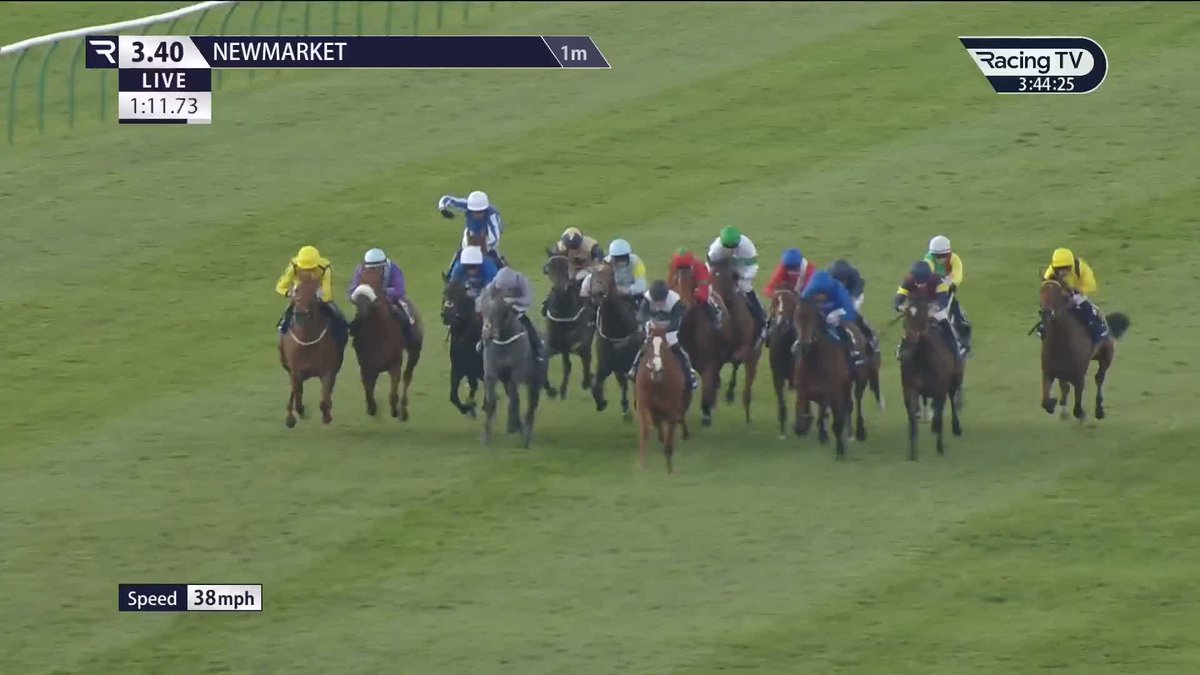A CRACKERJACK finish 🟡⚫️ 𝑬𝒍𝒎𝒂𝒍𝒌𝒂 storms home from the back of the pack to plunder the 1,000 Guineas for Roger Varian and Silvestre De Sousa. A first 1,000 Guineas success for trainer and jockey! @ChampionsSeries | Newmarket Racecourse