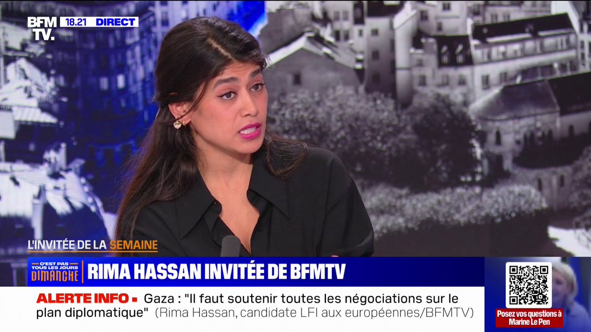 Génocide des Ouïghours: "Il n'y a pas de juridiction internationale qui s'est saisie de la question", affirme Rima Hassan (Rima Hassan)