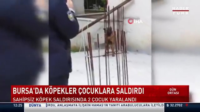 Bursa'da sahipsiz sokak köpekleri 3 çocuğa saldırdı. Çocuklardan 2'sinin yaralandığı saldırı anı güvenlik kamerasıyla görüntülendi.