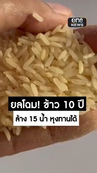 ยลโฉมชัดๆ สภาพข้าวเก่า 10 ปี จากโกดัง ล้าง 15 น้ำ หุงทานได้ #สำนักข่าววันนิวส์ #ข้าวเก่า10ปี #จำนำข้าว