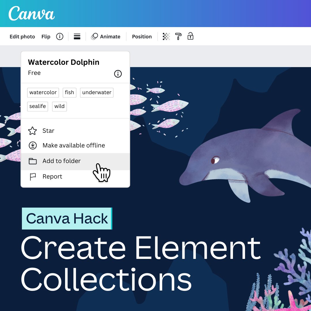 Never lose your educational elements again by creating Element Collections on Canva