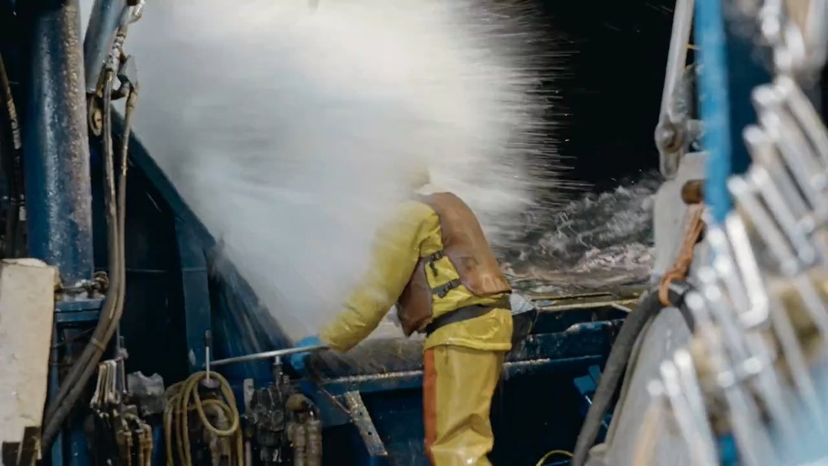 "Every split second could mean the difference between life and death." The 20th season of #DeadliestCatch premieres Tuesday, June 11 at 8p on Discovery.