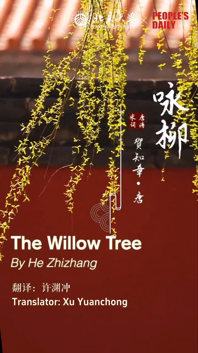 British and American poetry expert, retired #PKU Prof. Wang Shiren reads aloud an English translation of "The Willow Tree," a #poem by He Zhizhang, who is revered for his Tang Dynasty (618-907) poetry and calligraphy. #PKUScholars #PKUProfVerseVoice
